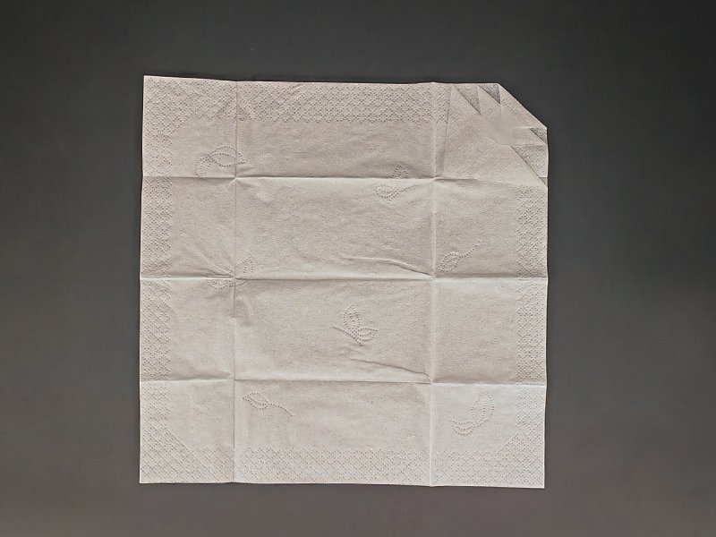 Pocket napkin 100% virgin wood pulp 14.5gsm 3ply size21x21cm 10pcs per bag
