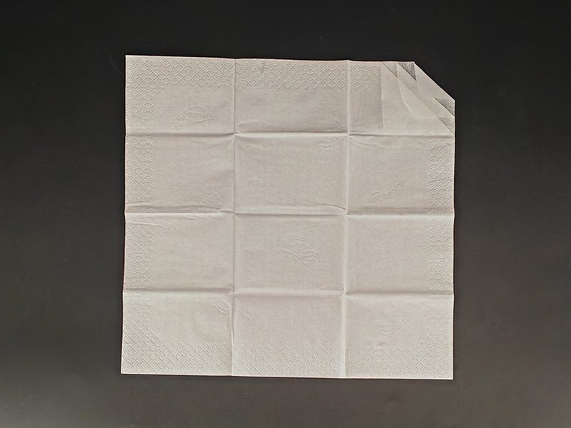 Pocket napkin 100% virgin wood pulp 14.5gsm 3ply size21x21cm 8pcs per bag