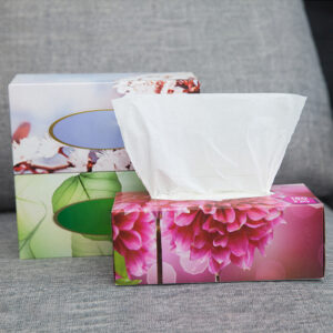 Custom Facial Tissues and Super Absorbent Kitchen Paper for Ultimate Comfort