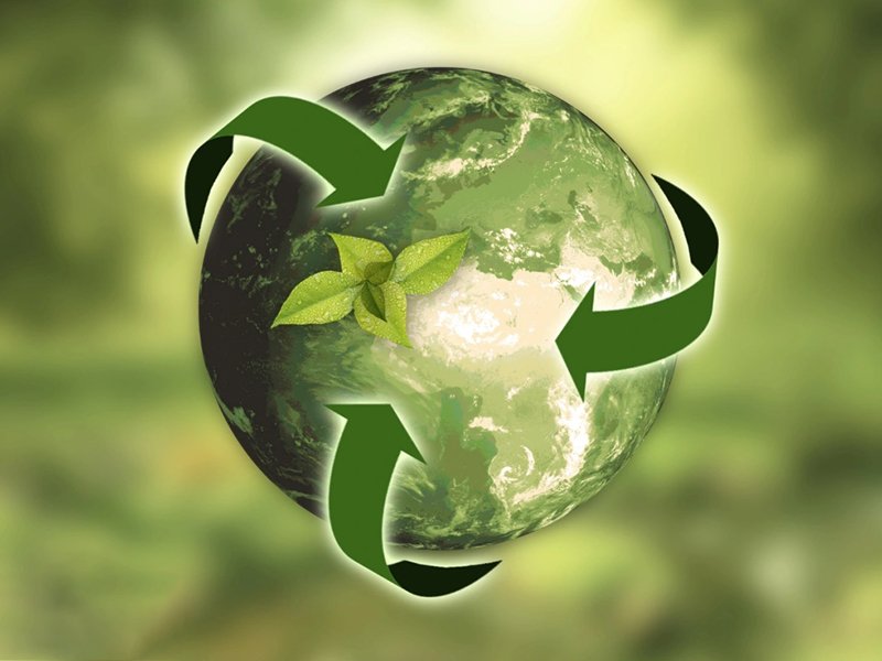 importance of biodegradable materials in tad paper