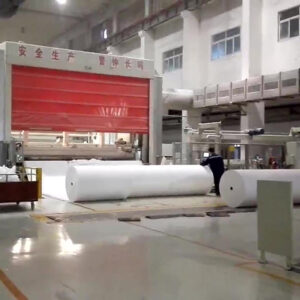 The Zany World of Tissue Mother Rolls and Compostable Tissue Paper!