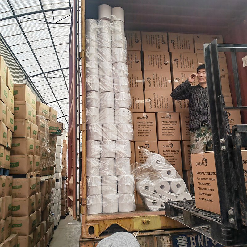 tad paper towels