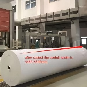 tissue mother rolls factory
