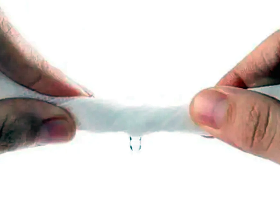 Finished examination rolls and shipment inspection file