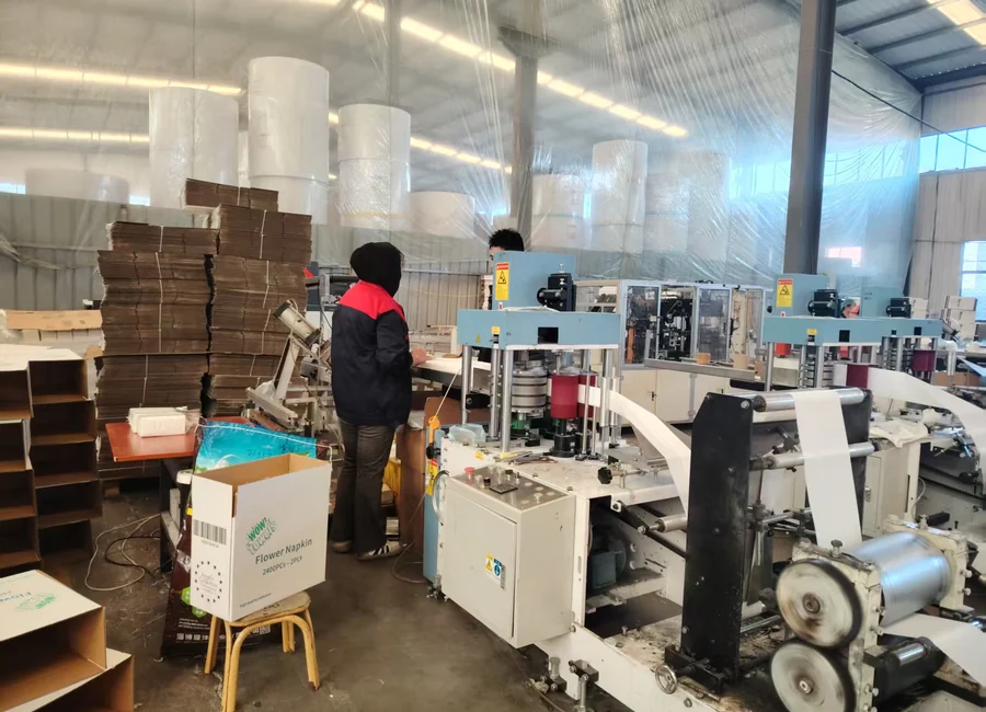 Private-label industrial wipe packing and carton proof