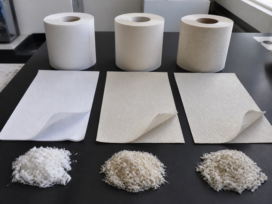 Bamboo tissue sheets and fiber samples arranged for composition comparison